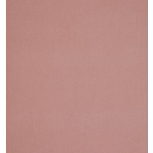 Arezzo Rose