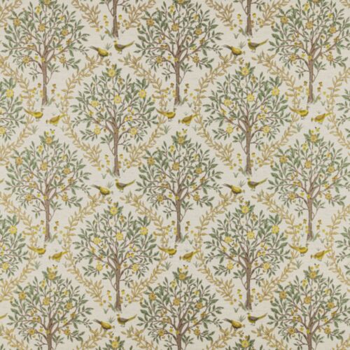 Bedgebury Lemon