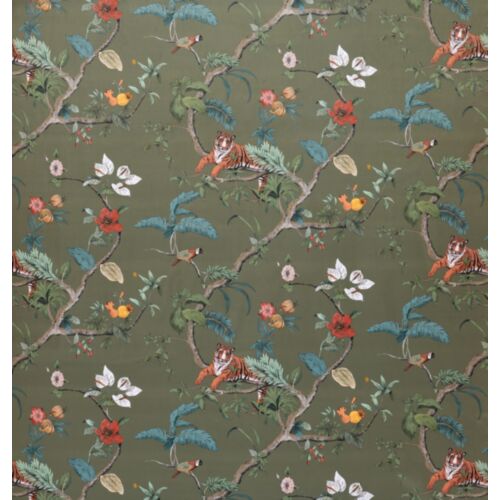 Bengal Olive