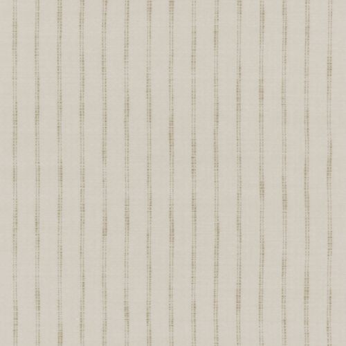 Colette Maize