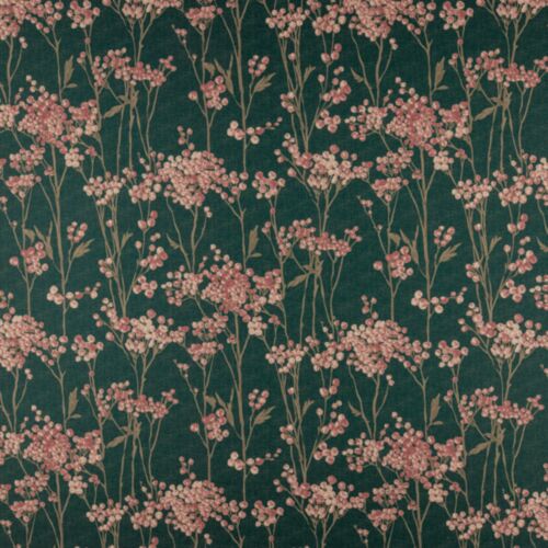 Hawthorn Peacock