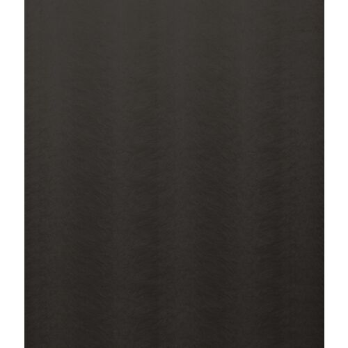 Allegra Coal