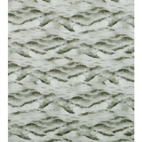 Andorra Moss