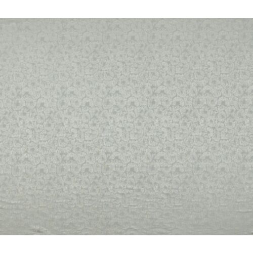 Caninia Limestone