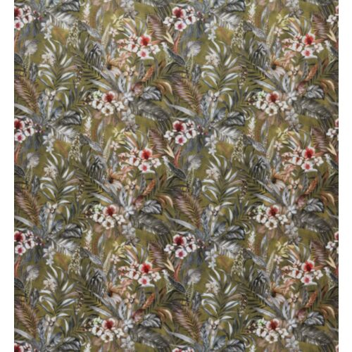 Kew Olive