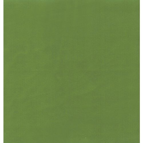 Koji Aloe