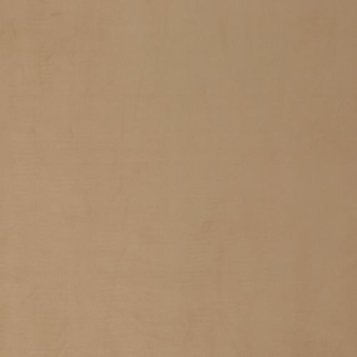 Koji