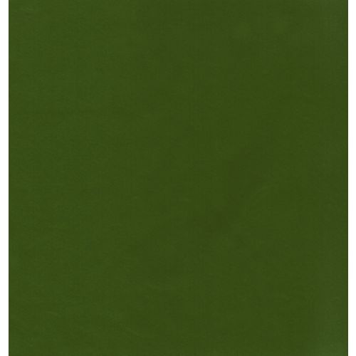 Koji Fern