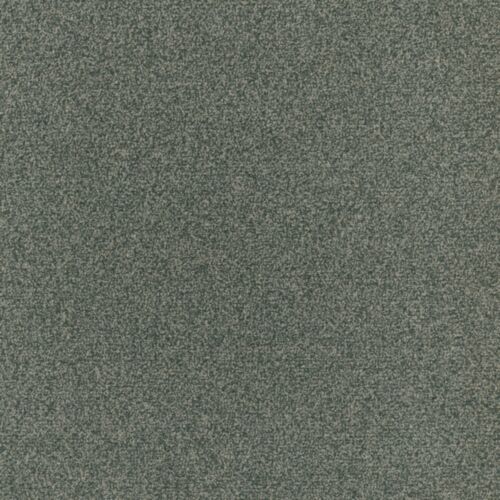 Kokoro Spruce 
