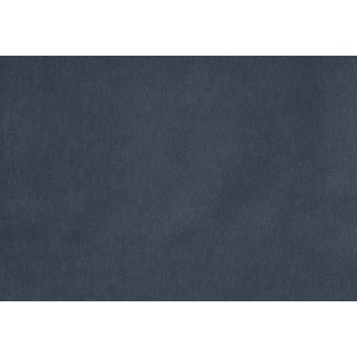 Savona Navy