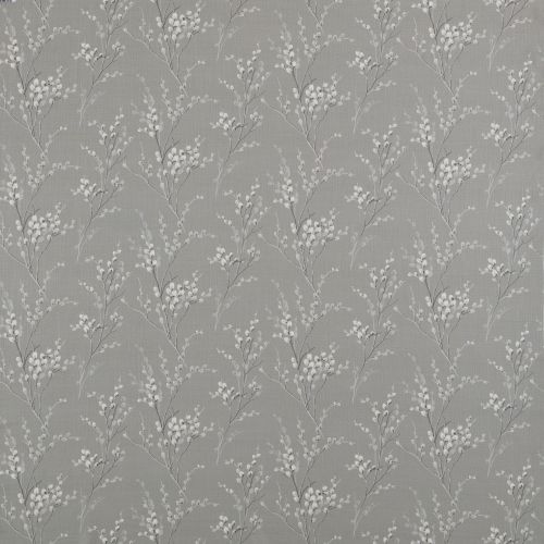Pussywillow