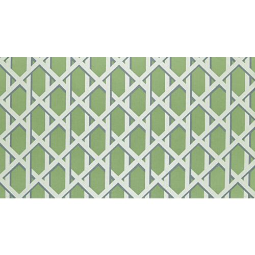 Lattice Kiwi