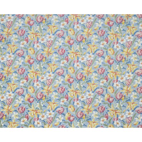 Tulips China Blue