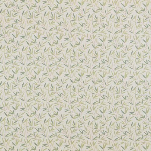 Willow Leaf Hedgerow