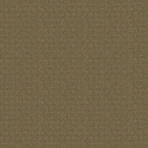 Ontario Olive