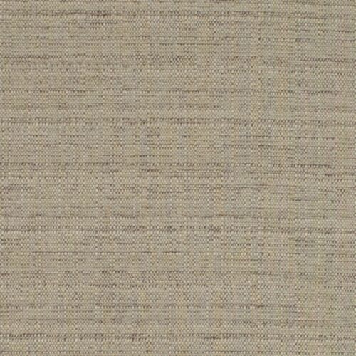 Raffia Shell