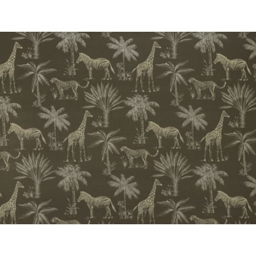 Safari