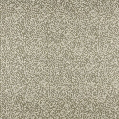 Villette Oregano