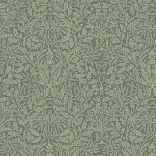 Acorn Eucalyptus