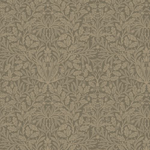 Acorn Velvet