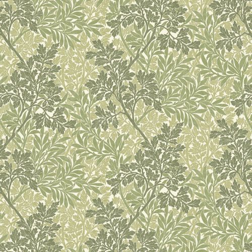Foliage Fern