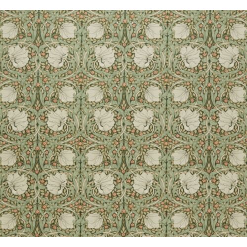 Pimpernel Velvet