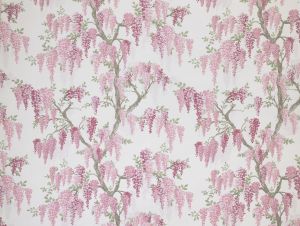 Wisteria Coral Pink