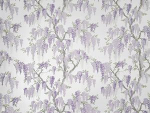 Wisteria Lavender