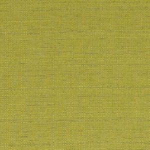 Raffia Lime