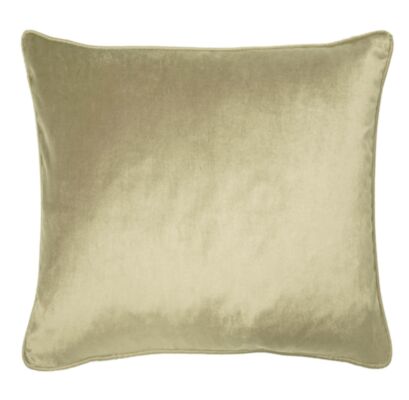 Nigella Pistachio 50x50cm Microfibre Cushion