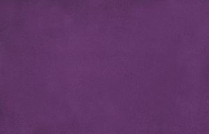 Alaska Aubergine