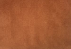 Alaska Rust