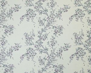 Alix Orchid
