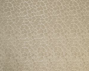 Amida Fawn