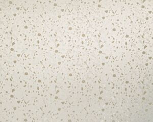 Anthracite Sandstone
