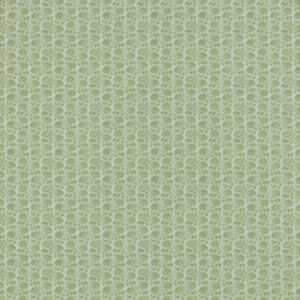 Bea Pistachio 