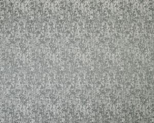 Buckby Graphite