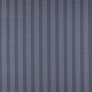 Cape Indigo