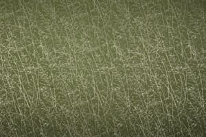 Whispering Grass Olive