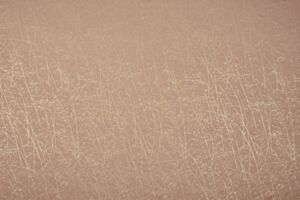 Whispering Grass Shell
