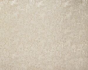 Dolomite Sandstone