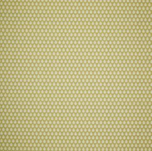 Jaipur Pollen