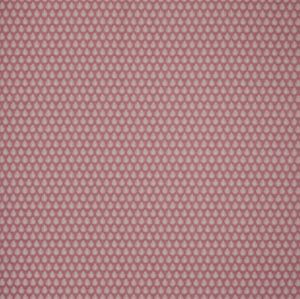 Jaipur Raspberry