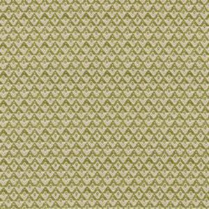 Enya Olive