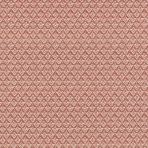 Enya  Raspberry