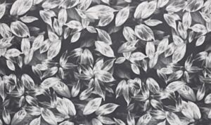 Giardino Slate