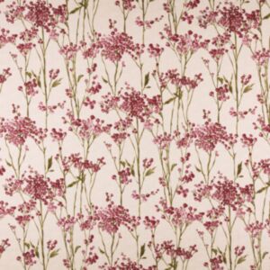 Hawthorn Cranberry