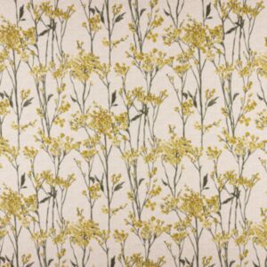 Hawthorn Maize
