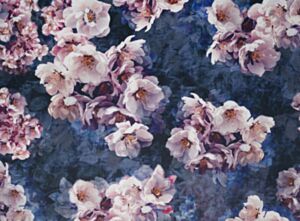 Jolanda Amethyst