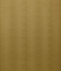 Allegra Ochre
